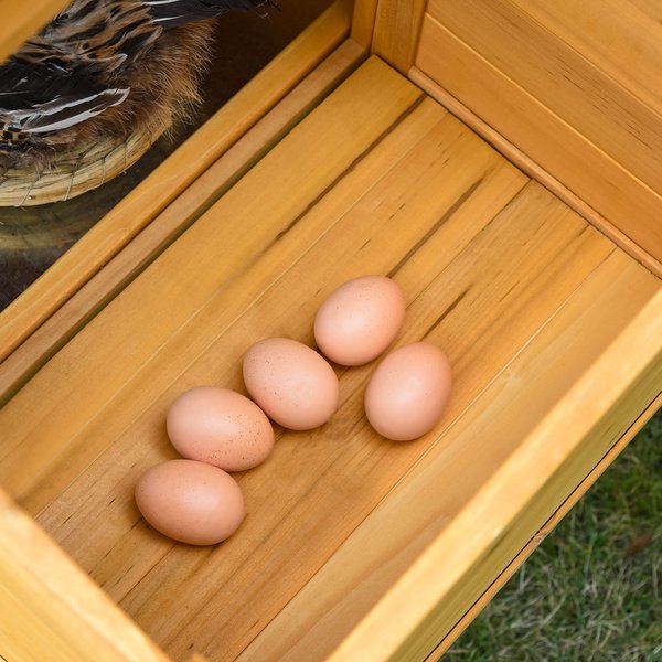 Deluxe 168cm Chicken Coop Small Animal Habitat Hen House W/ Run Nesting Box